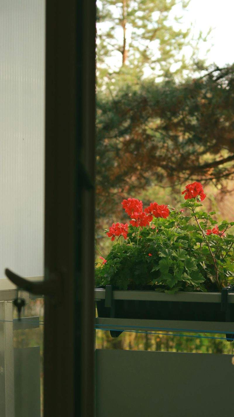 InnenraumGestaltung GmbH - Image 11